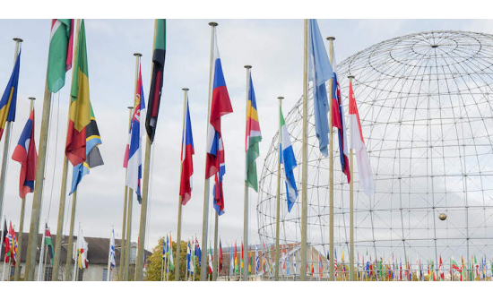 МОНГОЛ УЛС ЮНЕСКО-ГИЙН ДЭЛХИЙН ӨВИЙН ХОРООНЫ 2025-2029 ОНЫ ГИШҮҮНЭЭР СОНГОГДОВ